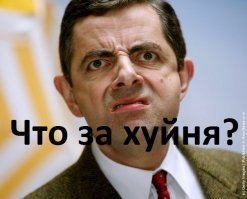 Девочка Алиса пришла в 1-й класс