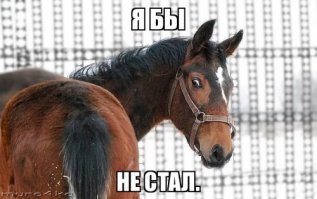 "Миссис Москва" взбесила пользователей интернета