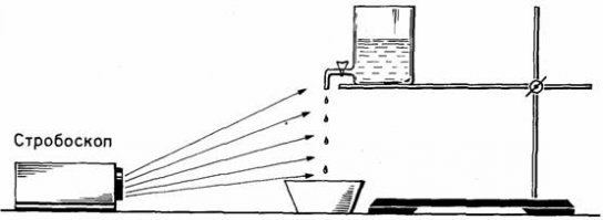 Кошачьи гифки