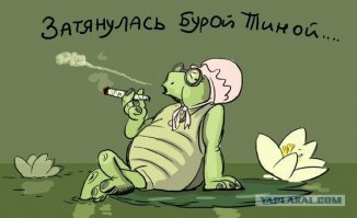 Гиппо-паром: черепахи в Южной Африке застопили гиппопотама