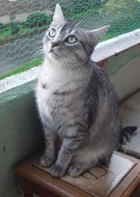 А моя так смотрит...