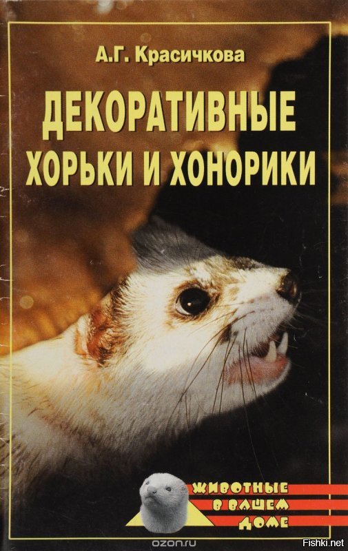 Так ты ишшо и декоративным быть можешь?! --- 
Во же, засранец, шифруется.
======================