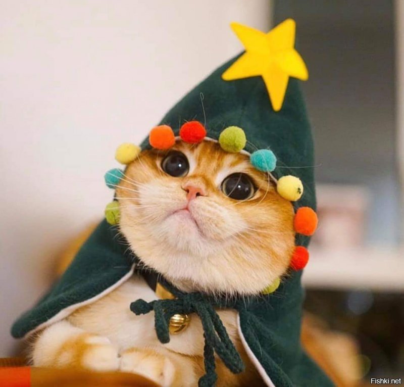 Всем чуть-чуть ржаки и Доброго утра