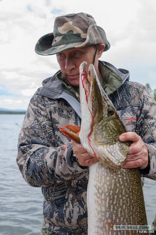Солянка от 12.12.2018
