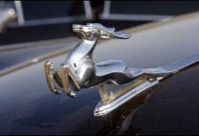 Форд - олень!