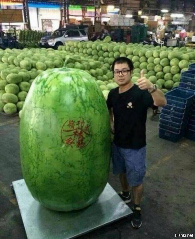 Вот каким кадрить надо