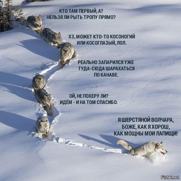 - Что там, заснули чтоль