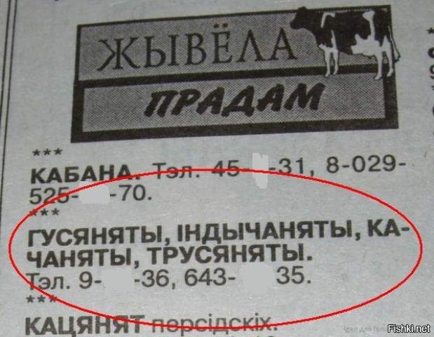 Солянка от 12.12.2018