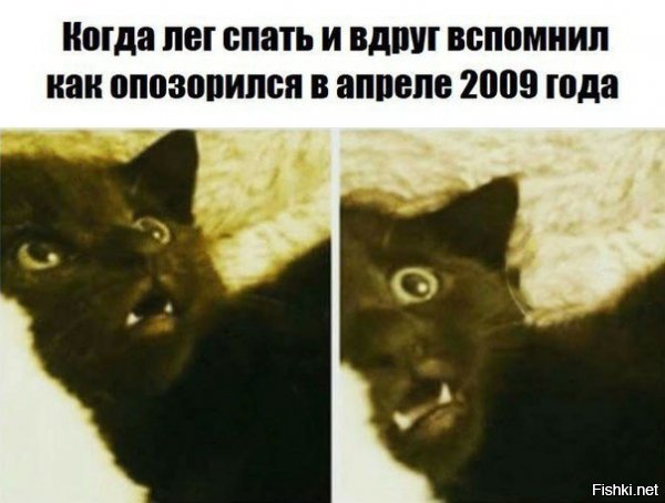 Солянка от 12.12.2018