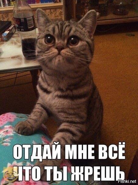 Солянка от 12.12.2018