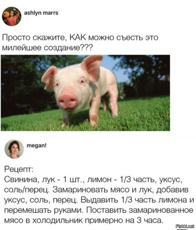 Мясо, запечённое цельным куском в духовке