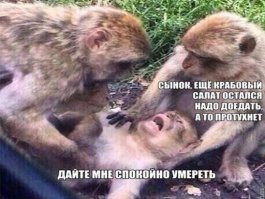 Картинки с надписями для настроения