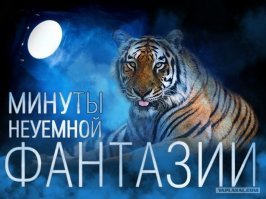 Справедливость всё же существует