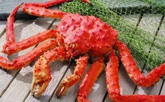 Мистер Камчатка