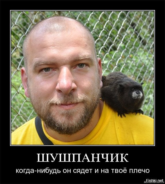 Солянка от 12.12.2018