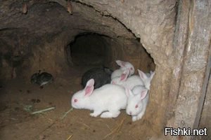 Спокойной всем ночи