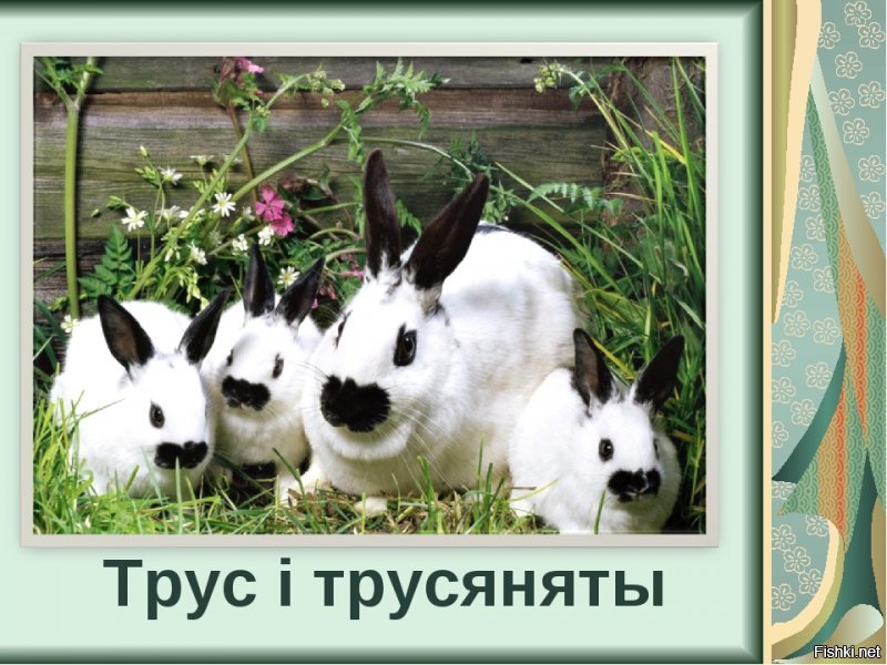 Солянка от 12.12.2018