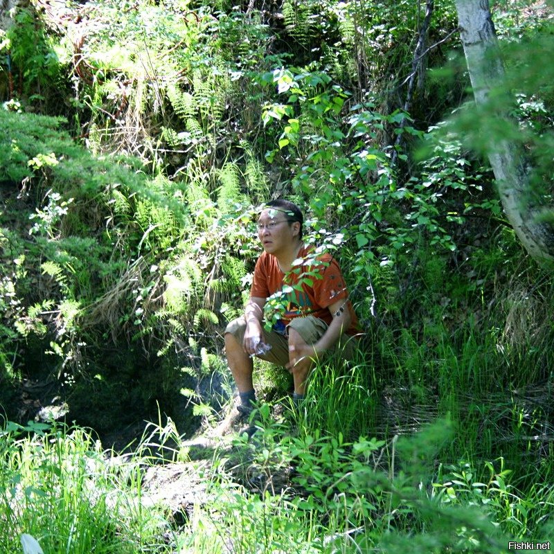 Да никуда. В кустах фотограф... Плёнку проявляет