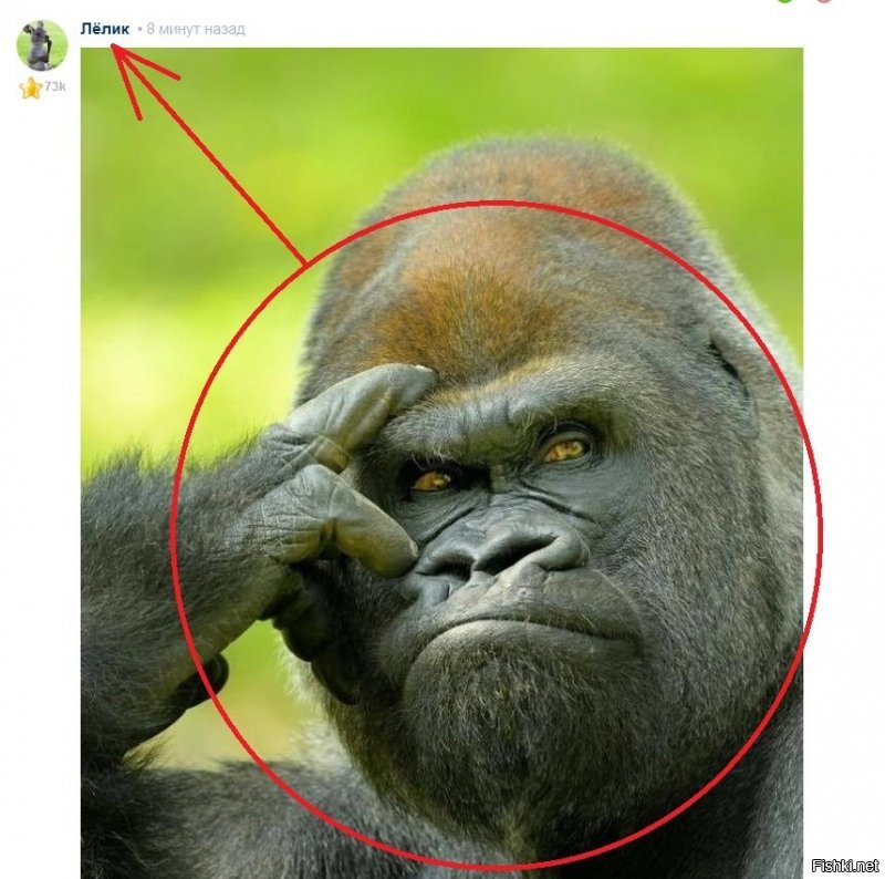 Вопрос только один: автопортрет?