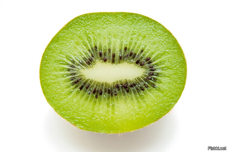 Солянка от 12.12.2018