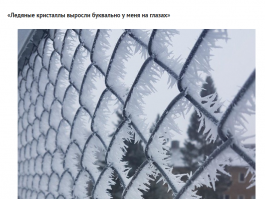 если уж буквально, то на сетке.не?