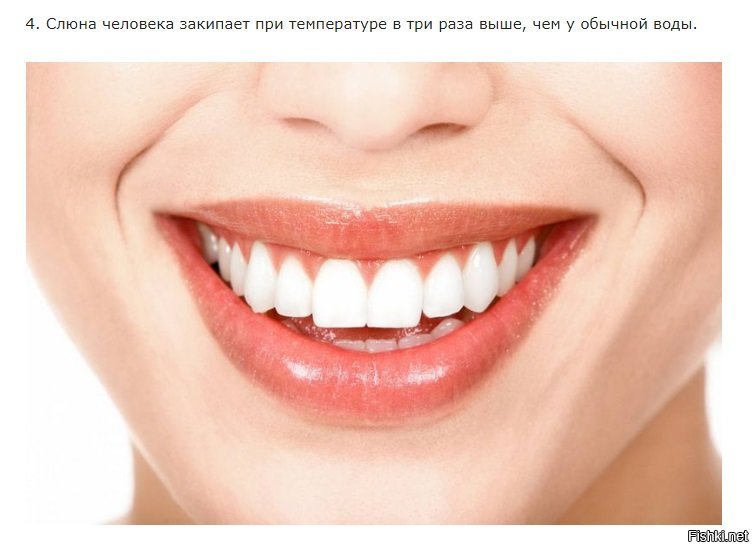 А что так мало фактов с такого достоверного сайта. Я исправляю этот недочёт.