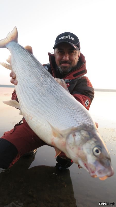 эттаж целое искусство... друган у меня мастер...)))