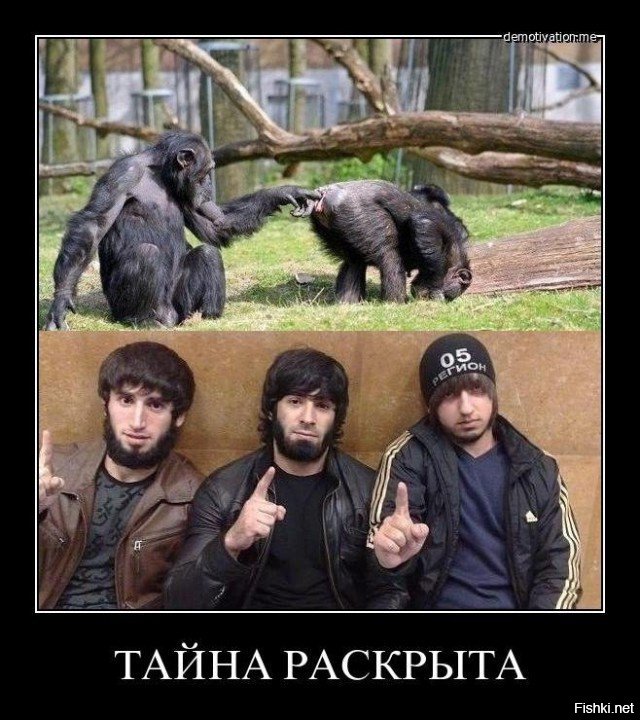 Прикольные и смешные картинки