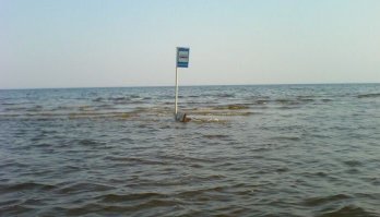 От паровозиков до грибочка: российские остановки