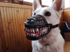 Прикольные и смешные картинки