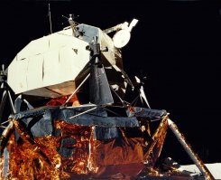 Заточка ножниц говорите) амеры и не такое с ней делали)))