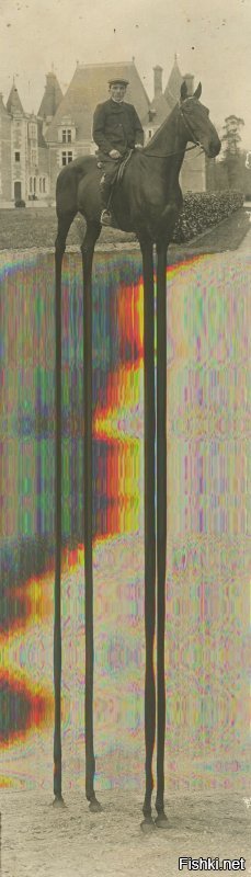 Солянка от 12.12.2018