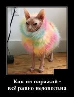 Сколько можно постить Гурченко??