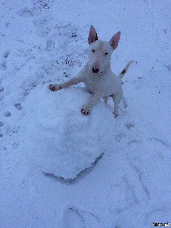 АААтличная идея)))