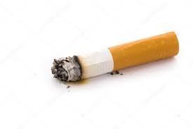 Самый маленький бычок в мире, родившийся в США, по размерам не больше кошки