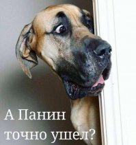 с собакой он договаривается ...