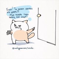 Прикольные и смешные картинки