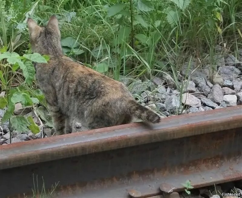 Это тот,который на рельсах сидел.