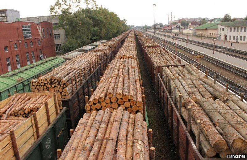 А вот поставка,а может постанова,а хотелось бы-постановление...