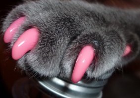 Мой козлина бегает с такими и в ус не дует, а то что предложил автор, вынос мозга.