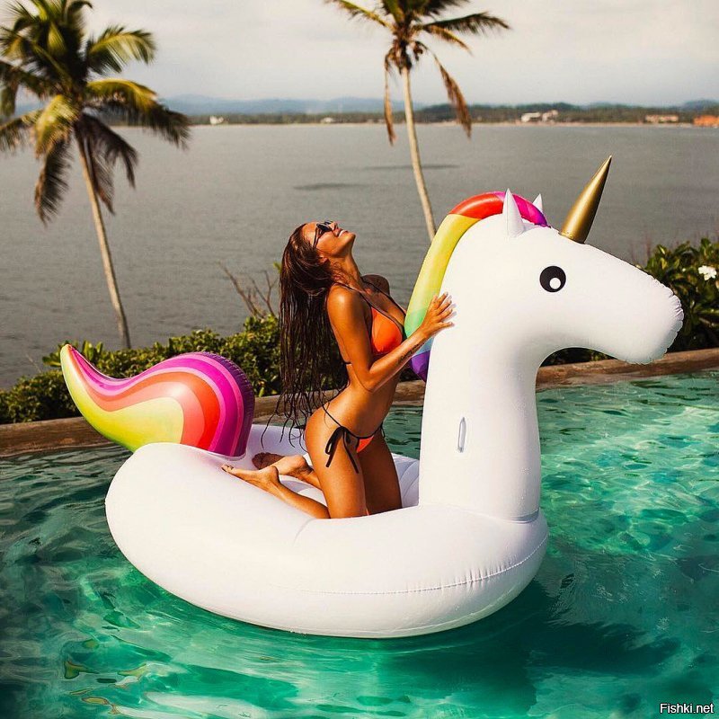 Солянка от 13.12.2018