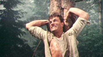 Прожив большую и интересную жизнь, настоящего коммуниста я видел только в одноимённом кинофильме. Допускаю,  что были такие, но мне - не попадались.