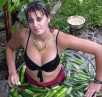 селедка с огурцами? оригинально!