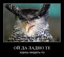 Демотивируй