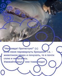 Демотивируй