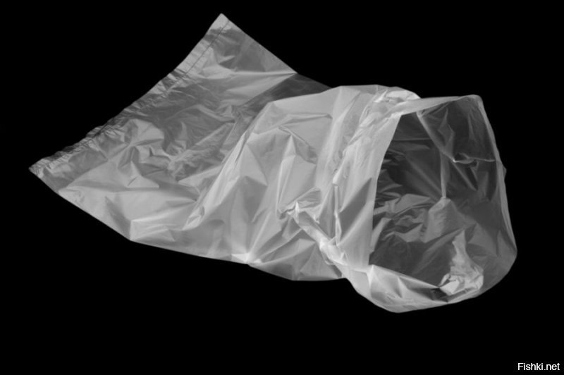 Ваще бесплатно! Зашёл в магаз, нарвал, скока надо...