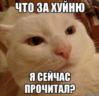 Дружил с девушкой с институтских времен, пока однажды вместе не напились