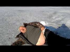 Подарок с моря: женщина обнаружила в саду детеныша тюленя