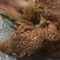 Ну, ерунду то не пишите.
Вы действительно не видите различий между запечатленными на фото запчастями от курицы: 

 Почки


 Мозги


 Фото из Поста