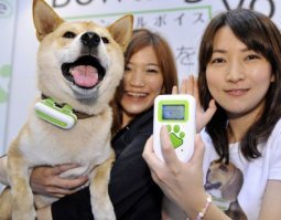 Ну, как минимум, два упомянутых здесь товара реально существуют. Это "сумасшедшие" градиентные паззлы и переводчик с "собачьего языка".